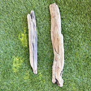2 Natural Driftwood Pieces California Coast Rustic Beach Decor Aquarium Art